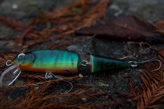 Mastering the Art of Hunting: Essential Gear, Bait, and Safety Tips